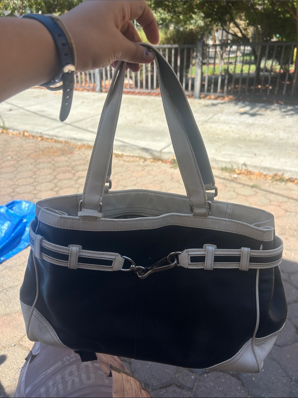 Coach bag and clutch